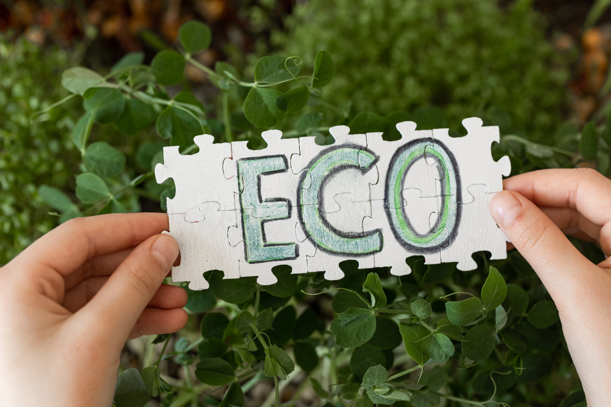 Puzzle with the inscription Eco in hands on the background of microgreens.